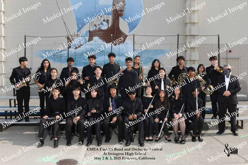 Musical Images